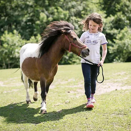 Gutshof Schulze-althoff 컨트리하우스 *