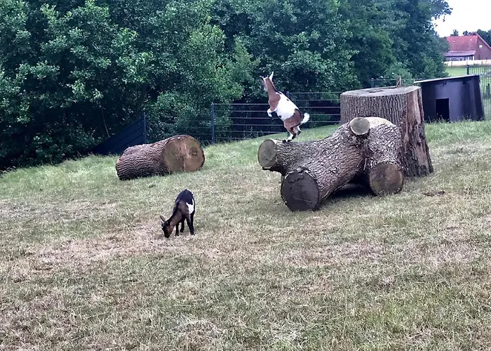 乡村民宿 Gutshof Schulze-althoff