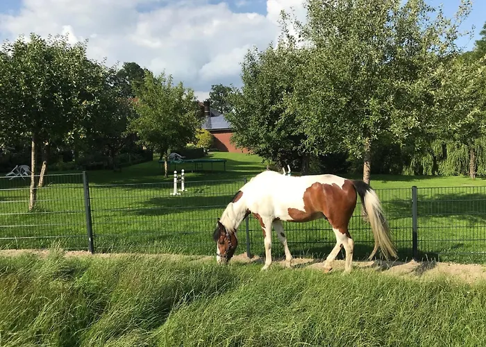 Gutshof Schulze-althoff 乡村民宿 Schöppingen